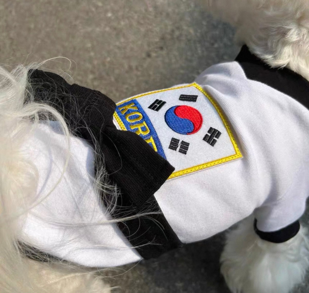 【韓國進口】寵物跆拳道服｜狗狗黑帶武道服 寵物造型服飾 拍照萬聖節變裝都得