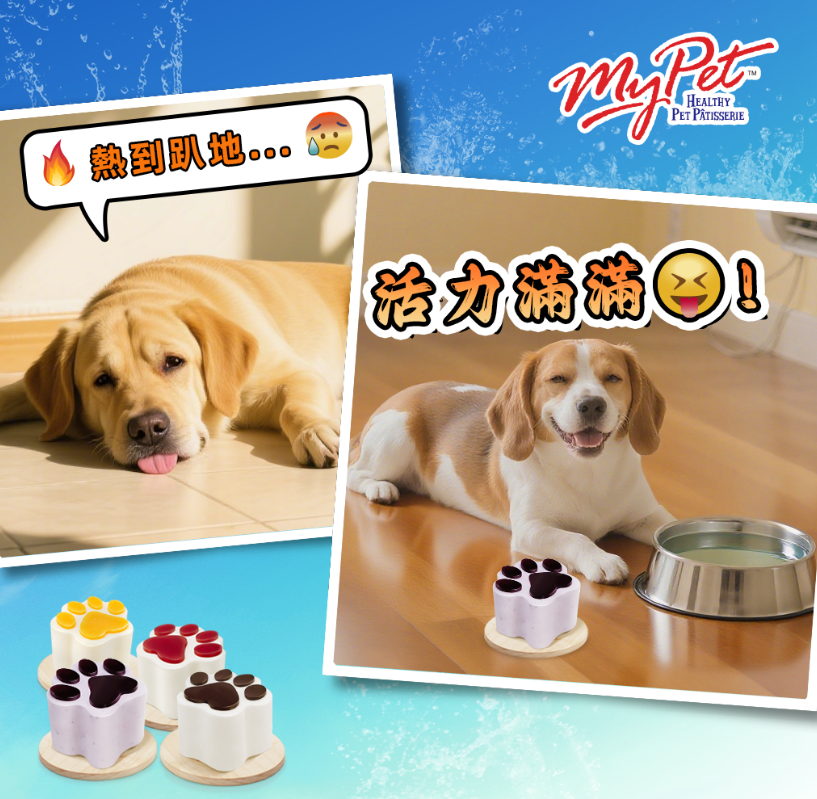 香港工廠新鮮製造My Pet Patisserie 美柏斯「狗狗乳酪蛋糕系列」-水果掌印蛋糕 *手掌心大 +配生日牌+蠟燭 * 【狗狗食】