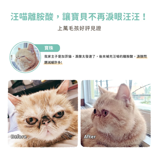 【台灣汪喵星球】100% PURE 純離胺酸 100g | 貓咪呼吸道保健/顧眼鼻分泌物 HK$110 貓奴必備