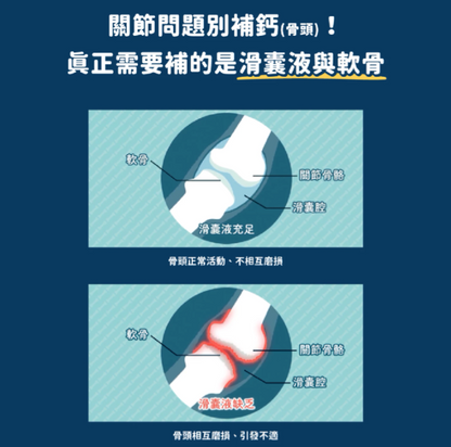 汪喵星球｜UC-II 關節保養粉 (日常保養配方) 35顆/120顆 裝【強健關節，守護毛孩的活力跳躍】【貓狗保健】