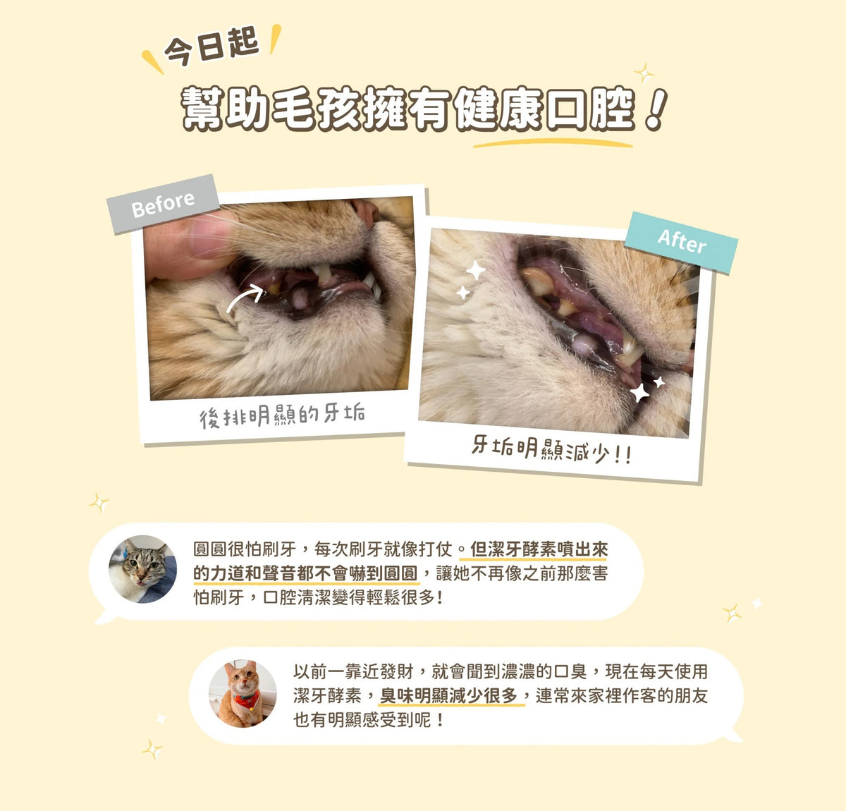 汪喵星球 潔牙護理酵素｜犬貓潔牙酵素 30ml [貓狗用】消除口腔異味、幫助控制牙垢
