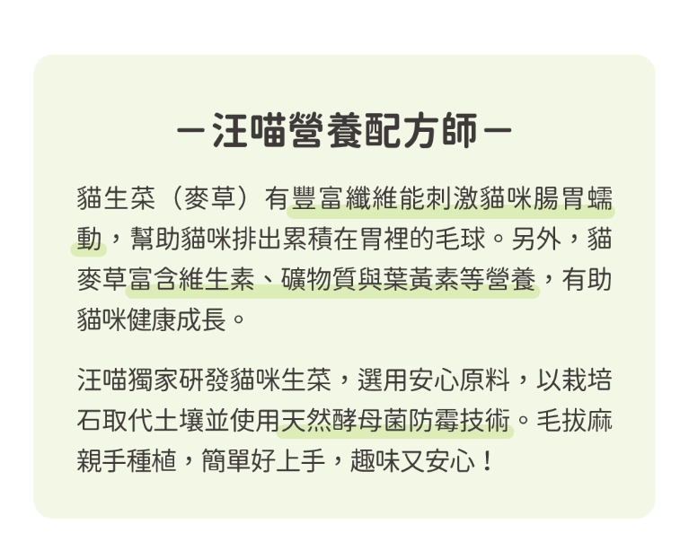 【汪喵星球】貓草新鮮栽培盒 | 貓咪生菜 天然排毛小麥草 單盒裝 $42/盒 - 天然纖維幫助排毛球