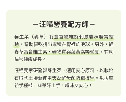 【汪喵星球】貓草新鮮栽培盒 | 貓咪生菜 天然排毛小麥草 單盒裝 $42/盒 - 天然纖維幫助排毛球