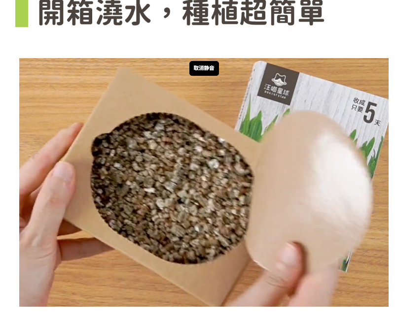 【汪喵星球】貓草新鮮栽培盒 | 貓咪生菜 天然排毛小麥草 單盒裝 $42/盒 - 天然纖維幫助排毛球