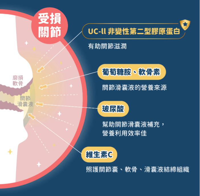 汪喵星球｜UC-II 關節保養粉 (日常保養配方) 35顆/120顆 裝【強健關節，守護毛孩的活力跳躍】【貓狗保健】
