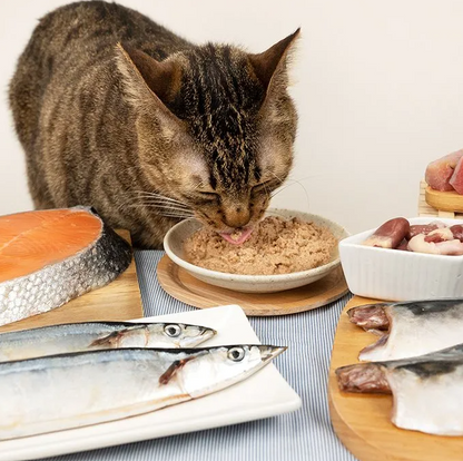 【汪喵星球】 挑嘴貓 98% 鮮肉無膠主食罐 80g | 貓罐頭 補水無膠挑嘴貓主食罐 單罐 $16