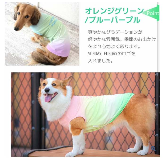 【日本 IDOG & ICAT】日本直送 貓狗通用夏日清涼驅蚊背心｜雙重降溫防蚊蟲｜HK$188 寵物服裝