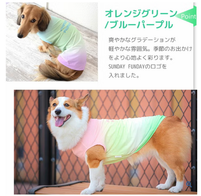 【日本 IDOG & ICAT】日本直送 貓狗通用夏日清涼驅蚊背心｜雙重降溫防蚊蟲｜HK$188 寵物服裝