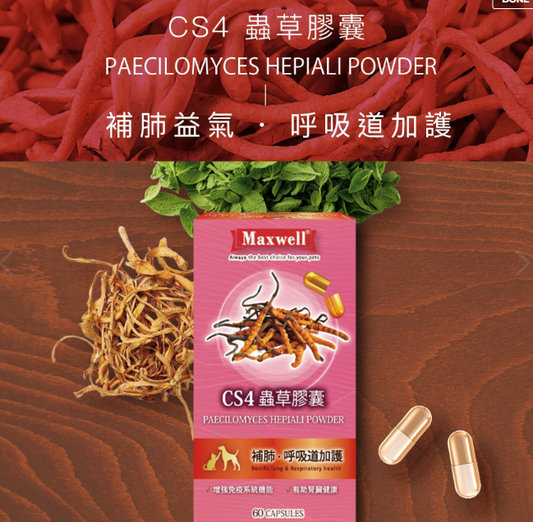 Maxwell|CS4蟲草膠囊60粒 貓狗食用  適合哮喘·呼吸道健康需要或有助腎臟健康