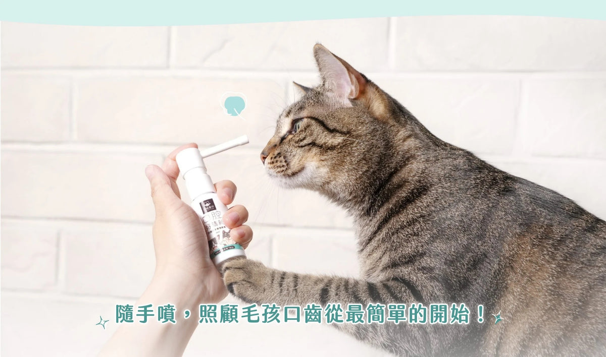 汪喵星球 潔牙護理酵素｜犬貓潔牙酵素 30ml [貓狗用】消除口腔異味、幫助控制牙垢