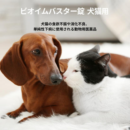 【日本共立製藥】Bioymbuster 犬貓用止瀉整腸丸（1排10粒 / 1盒100粒｜腸胃調理・改善軟便腹瀉・益生菌＋消化酵素）日本🇯🇵獸醫醫院常用