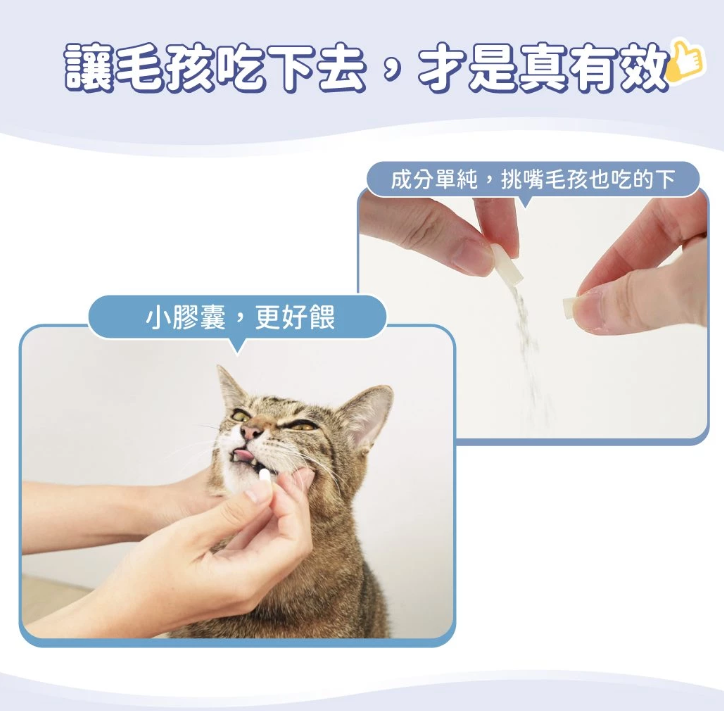汪喵星球｜泌尿道健康保養粉（新升級版）90顆 【全方位守護，營造健康泌尿道環境】【貓狗保健】