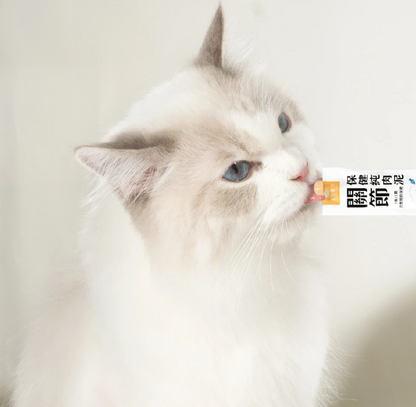 汪喵星球 關節保健純肉泥【貓狗食用】* 保護軟骨 × 強健肌肉  6gx2包裝 / 6g x 20包裝一盒