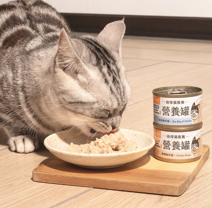 【汪喵星球】迷你無膠貓咪營養主食罐 (55g) | 2款口味・幼母貓適用・絕不含卡拉膠/瓜爾豆膠 *符合 AAFCO 營養標準