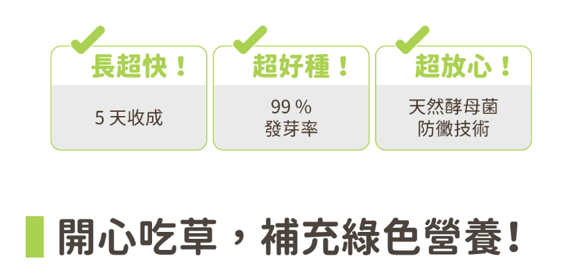 【汪喵星球】貓草新鮮栽培盒 | 貓咪生菜 天然排毛小麥草 單盒裝 $42/盒 - 天然纖維幫助排毛球