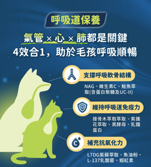【汪喵星球】呼吸道保健粉 (30包/盒) ｜ 4效合一・氣管與心肺全方位日常保養（換季咳咳必備）