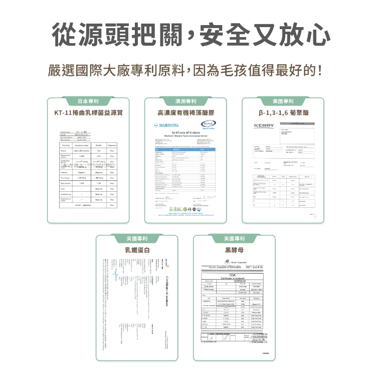 汪喵星球 免疫力健康保養粉 50粒裝（升級版）適合流鼻水·淚水·感冒症狀或增强抵抗力避免容易生病【貓狗食用】