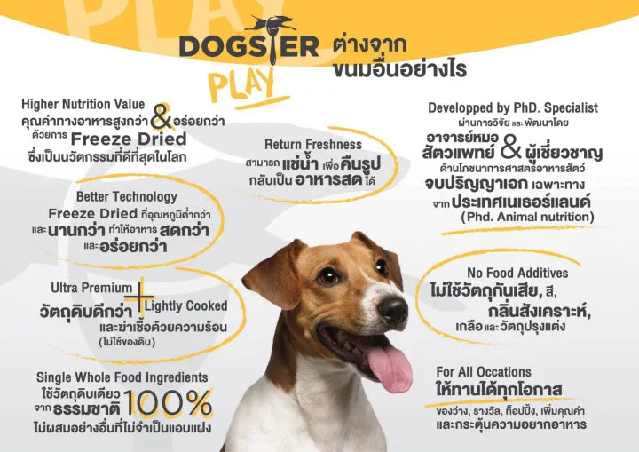 DOGSTER PLAY 凍乾寵物零食/拌糧 - 日本紫薯口味 (40g) 【犬貓適用】