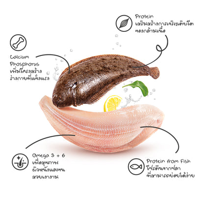 【泰國Catster Play】頂級冷凍乾燥龍脷魚丁 40g | 貓咪凍乾零食/低敏優質蛋白 HK$45 銅板價首選