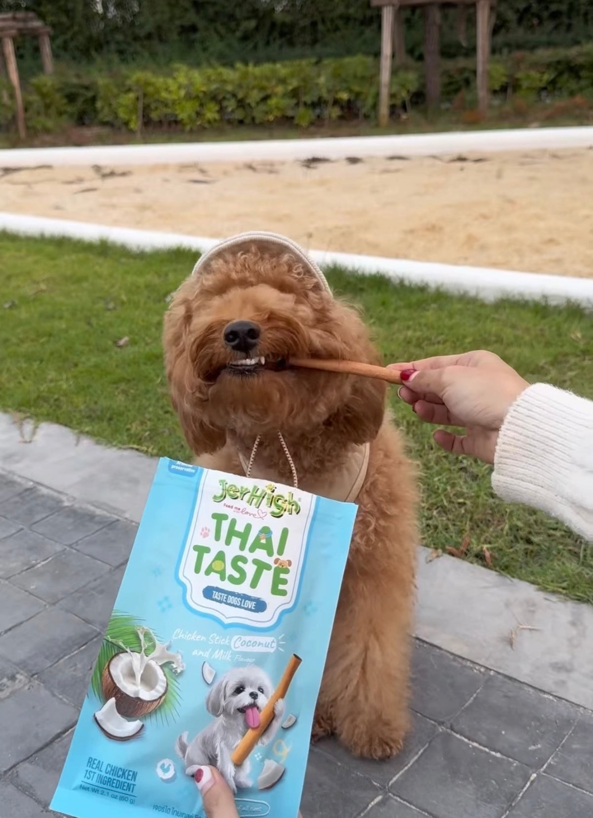 「泰國限定」狗狗Jerhigh 泰式風味雞肉條 60g | 🐾狗零食 犬用點心 鮮肉製成 不添加鹽 [榴槤糯米/芒果糯米/泰式沙爹/椰奶]