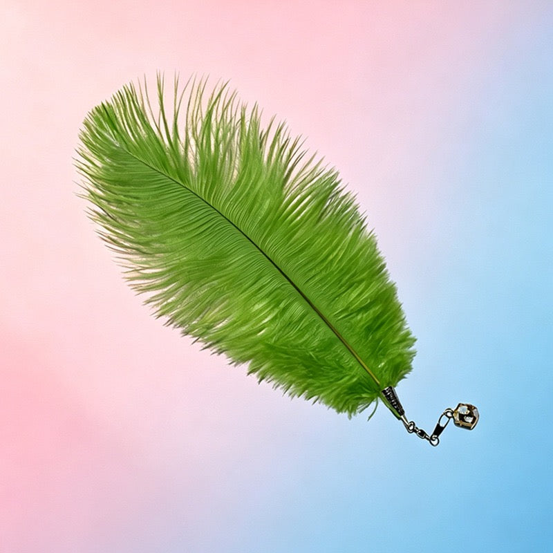 【貓咪瘋玩神器】CFA賽級天然鴕鳥羽毛逗貓棒替換頭 (10個裝) | 帶清脆鈴鐺 互動解悶玩具