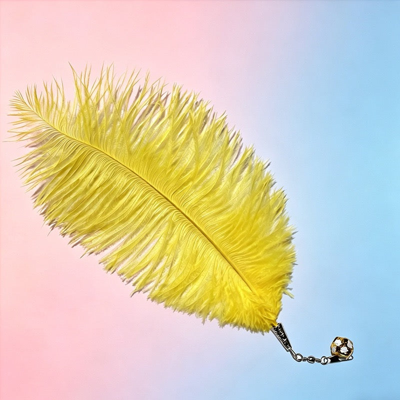 【貓咪瘋玩神器】CFA賽級天然鴕鳥羽毛逗貓棒替換頭 (10個裝) | 帶清脆鈴鐺 互動解悶玩具