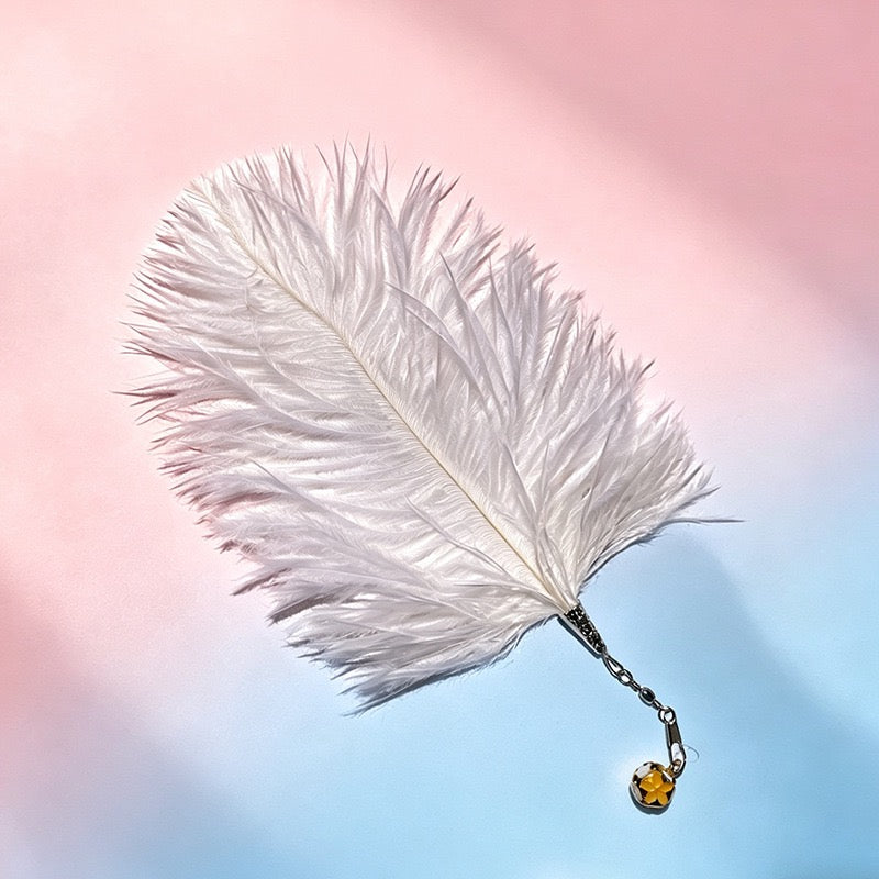 【貓咪瘋玩神器】CFA賽級天然鴕鳥羽毛逗貓棒替換頭 (10個裝) | 帶清脆鈴鐺 互動解悶玩具