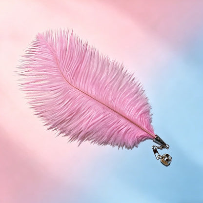 【貓咪瘋玩神器】CFA賽級天然鴕鳥羽毛逗貓棒替換頭 (10個裝) | 帶清脆鈴鐺 互動解悶玩具