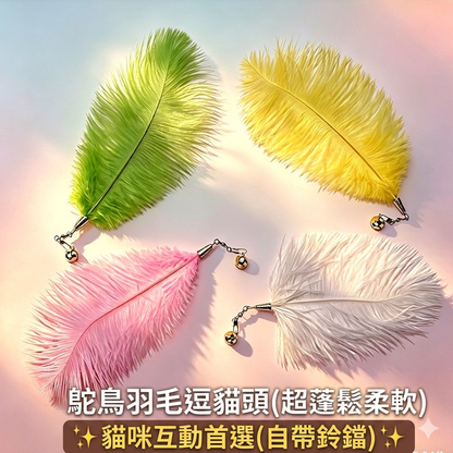 【貓咪瘋玩神器】CFA賽級天然鴕鳥羽毛逗貓棒替換頭 (10個裝) | 帶清脆鈴鐺 互動解悶玩具