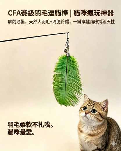【貓咪瘋玩神器】CFA賽級天然鴕鳥羽毛逗貓棒替換頭 (10個裝) | 帶清脆鈴鐺 互動解悶玩具