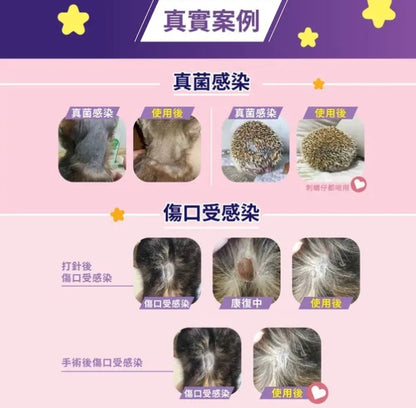 【美國NASA認證配方】Positive Care 泡泡靈 寵物急救噴霧 (50ml) | 24小時長效抗菌・無藥性修護傷口