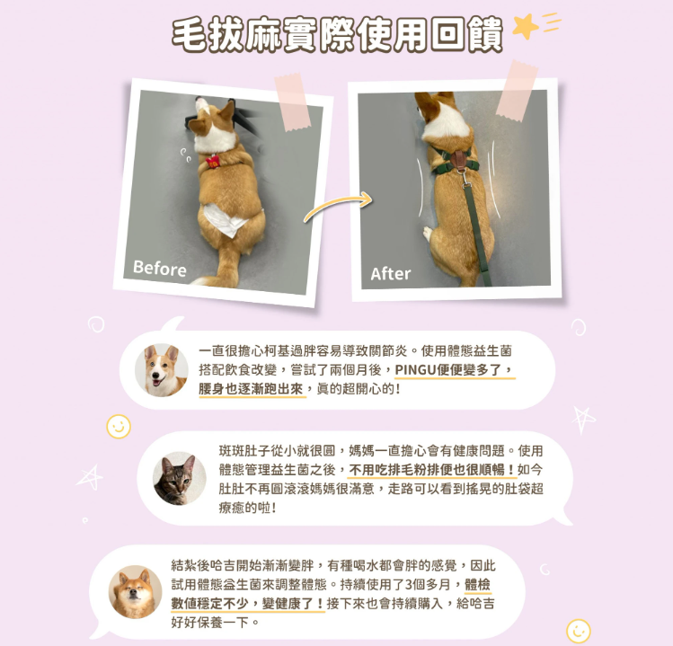 【汪喵星球】體態管理益生菌 (30包/盒) ｜ 平衡胖瘦菌叢・白腎豆添加 X 穩定血糖血脂（打造易瘦體質・犬貓適用）