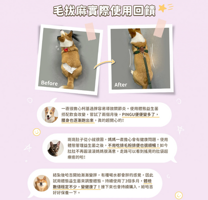 【汪喵星球】體態管理益生菌 (30包/盒) ｜ 平衡胖瘦菌叢・白腎豆添加 X 穩定血糖血脂（打造易瘦體質・犬貓適用）