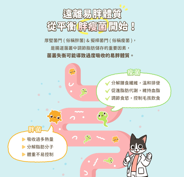 【汪喵星球】體態管理益生菌 (30包/盒) ｜ 平衡胖瘦菌叢・白腎豆添加 X 穩定血糖血脂（打造易瘦體質・犬貓適用）